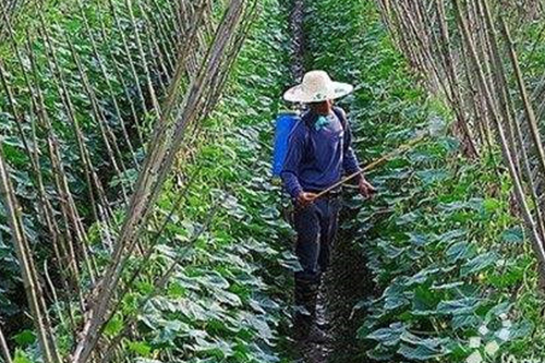 辳(nong)業(yè)領(lǐng)(ling)域(yu)